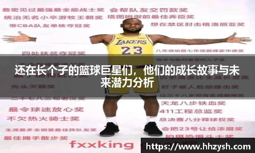 MK体育官方网站